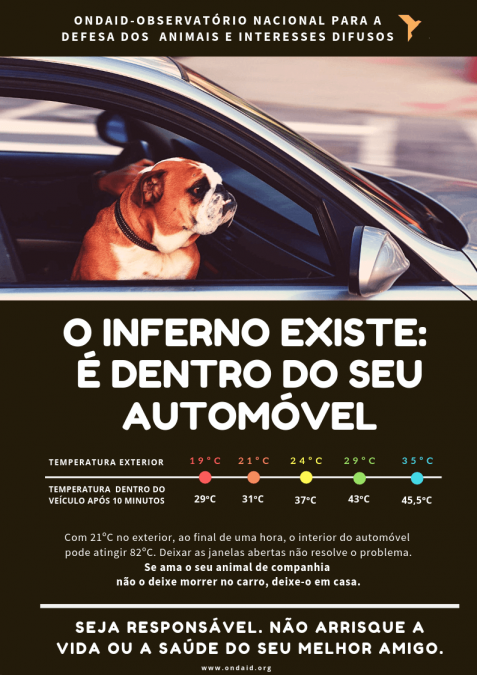 Golpe de calor em animais de companhia